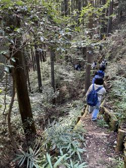 檜原村20241020-4