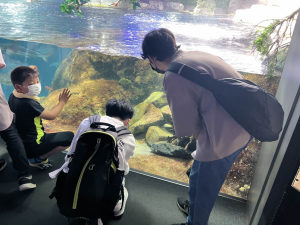 新江ノ島水族館20230715‐4