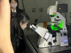 医総研20231219‐7