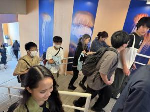 新江ノ島水族館20240601-6