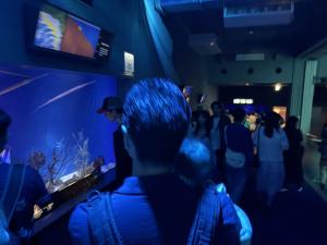 新江ノ島水族館20240601-7