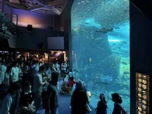 新江ノ島水族館20240601-8
