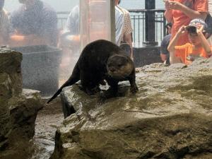 新江ノ島水族館20240601-10