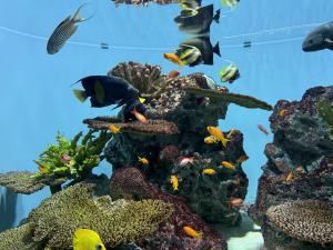 葛西臨海水族園2024-10