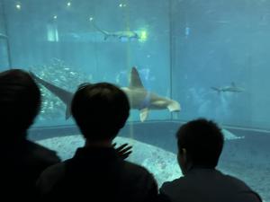 葛西臨海水族園2024-5
