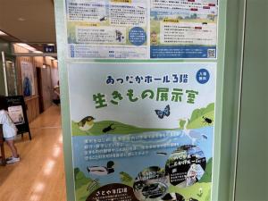 生きもの展示室2025-1