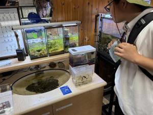 生きもの展示室2025-3