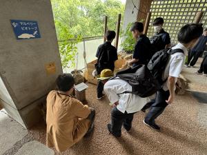 生きもの展示室2025-6