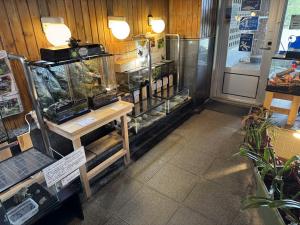 生きもの展示室2025-7