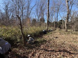 トトロの森20260201-3