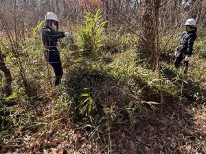 トトロの森20260201-4