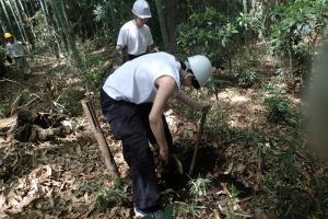 トトロの森2026-4