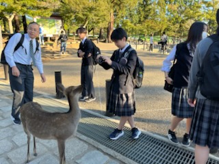 奈良公園1