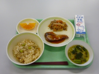 給食