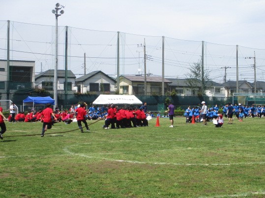 IMG_3482.JPG