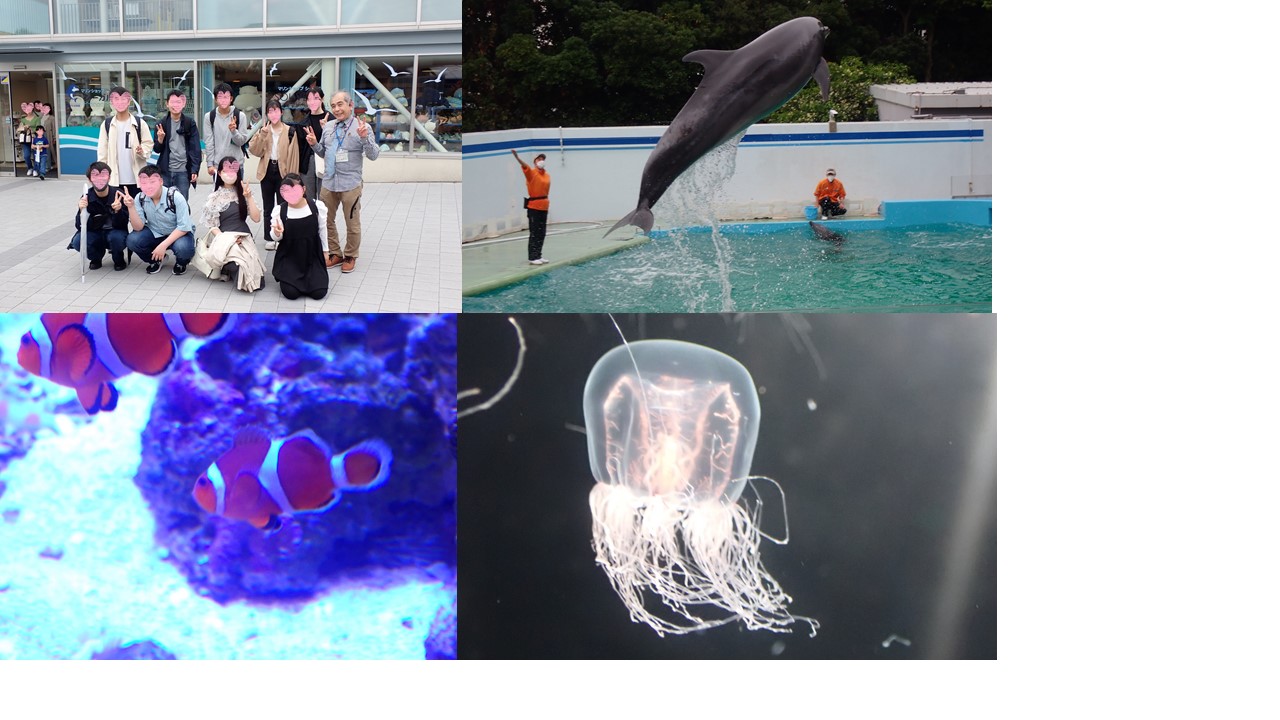 しながわ水族館