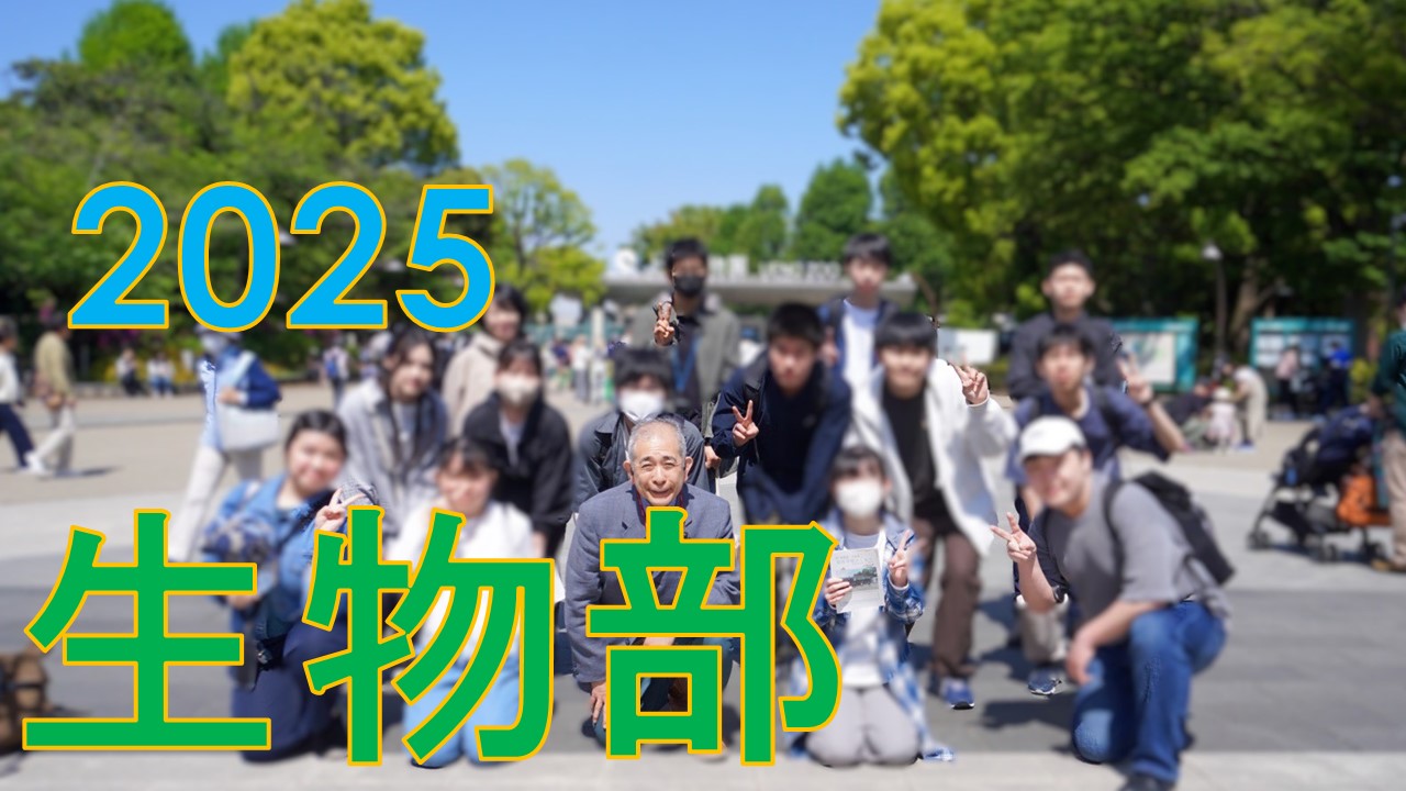 スライド1.JPG