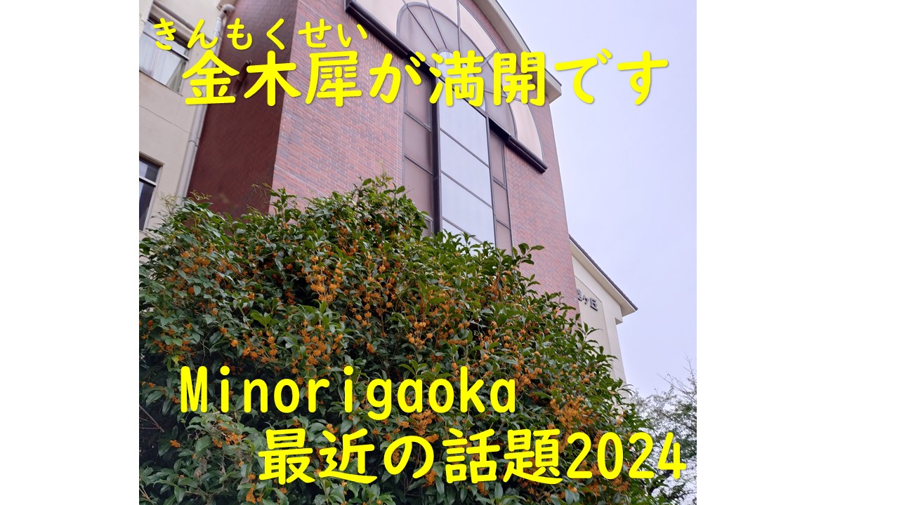 スライド1.JPG