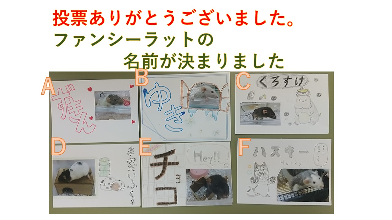 名前発表