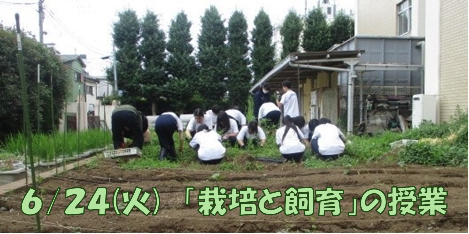 栽培と飼育トップ画像