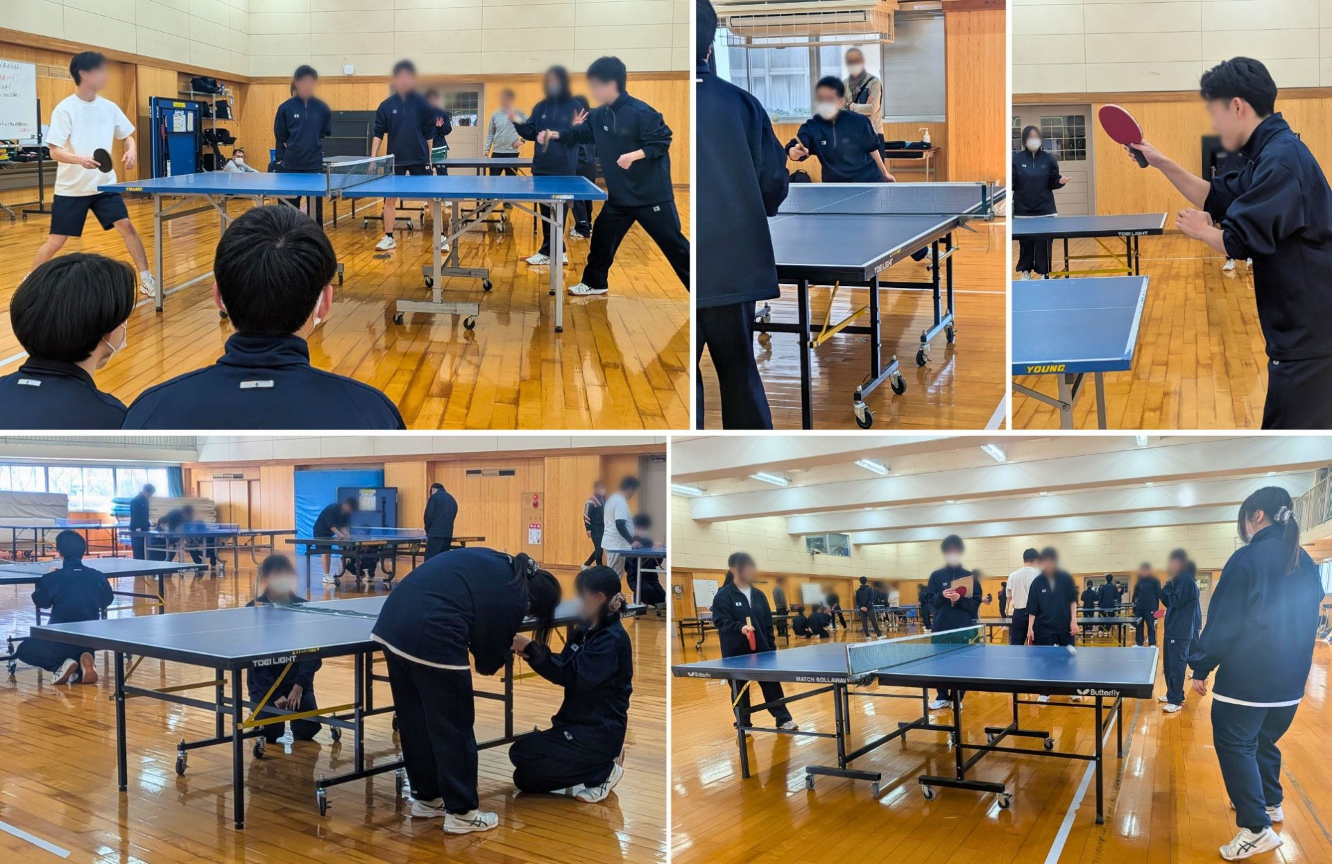 ３・４年次合同年次活動