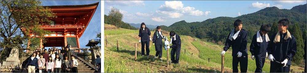 修学旅行の写真