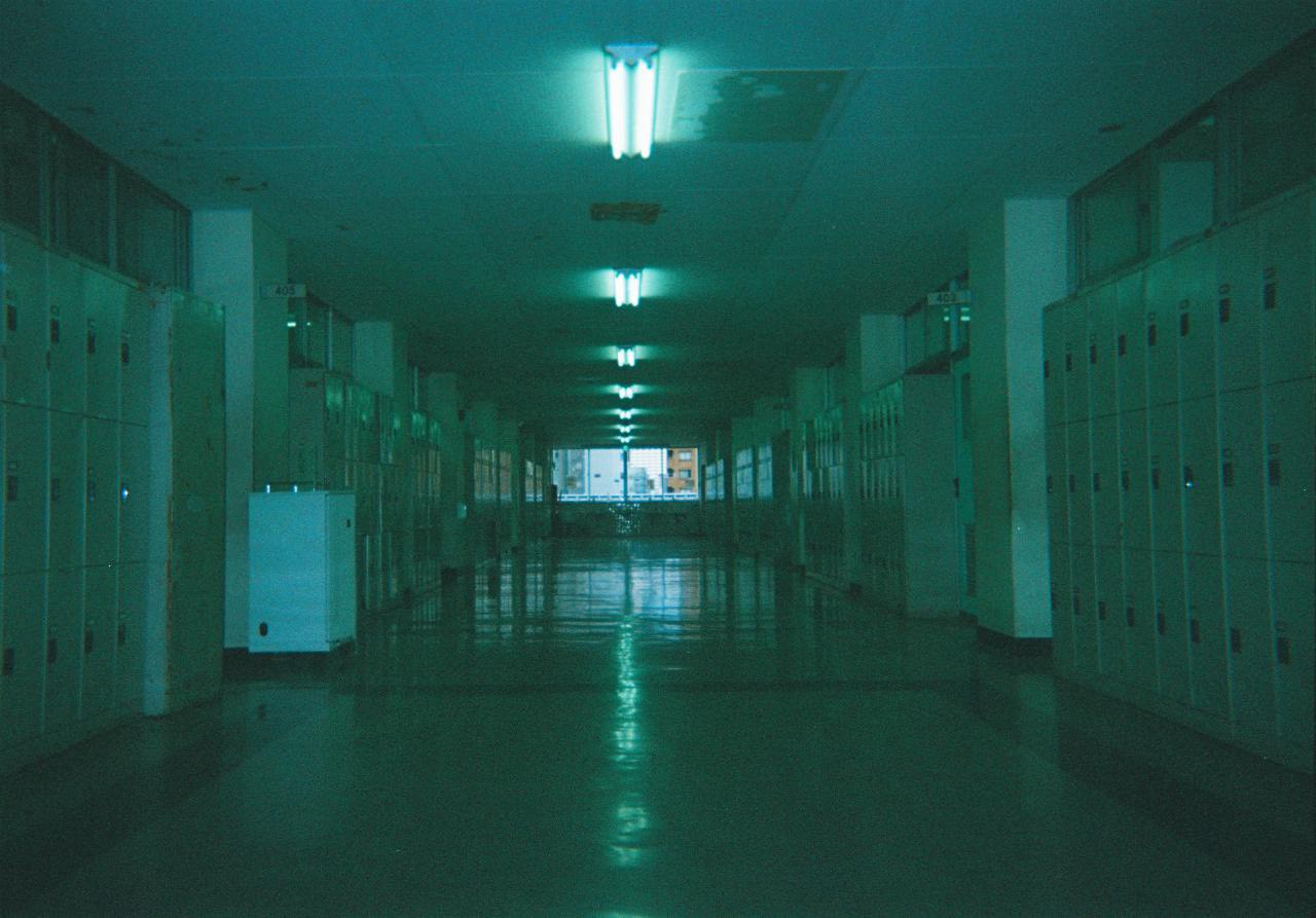 写ルンです１