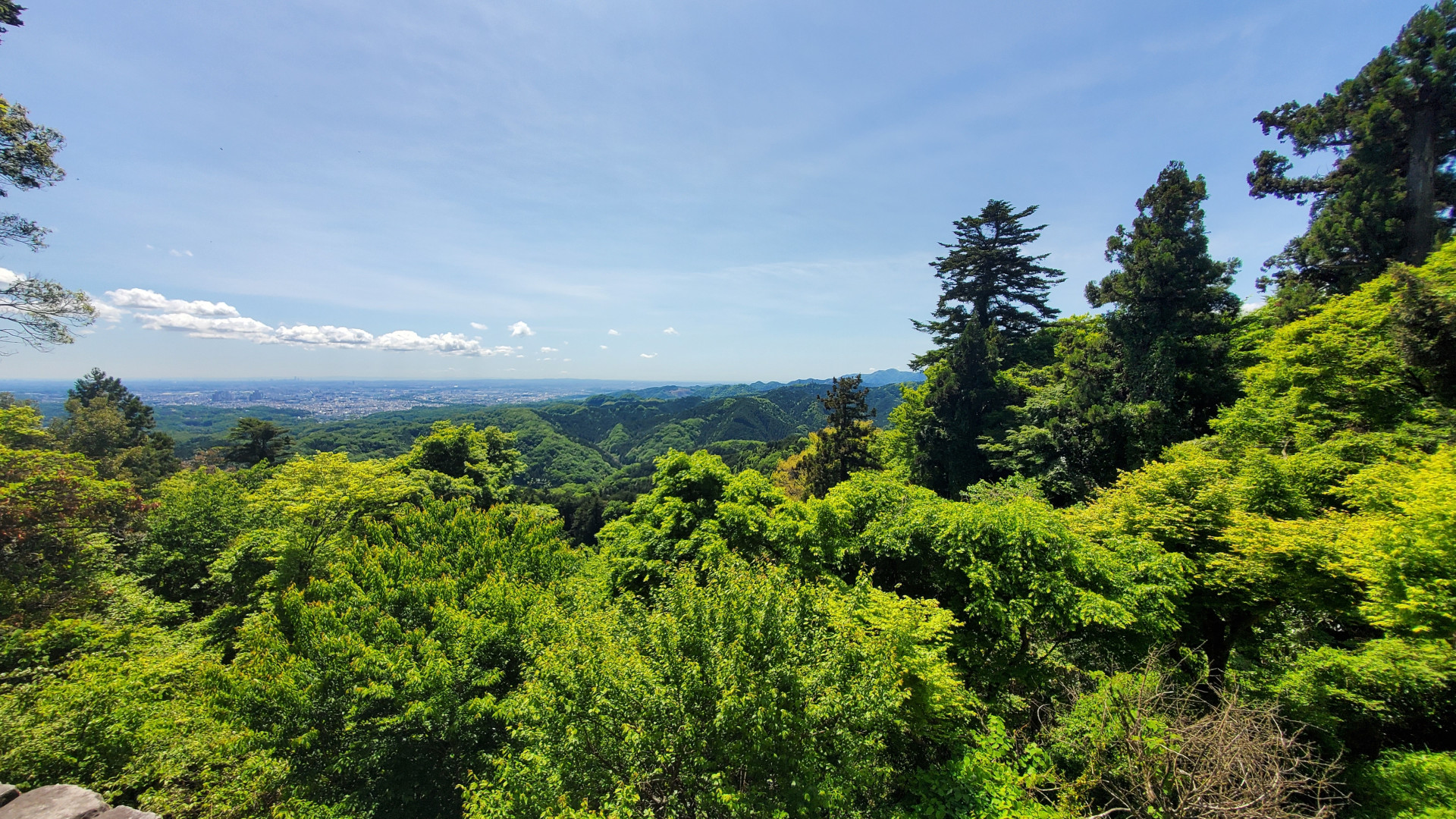 山上の景色