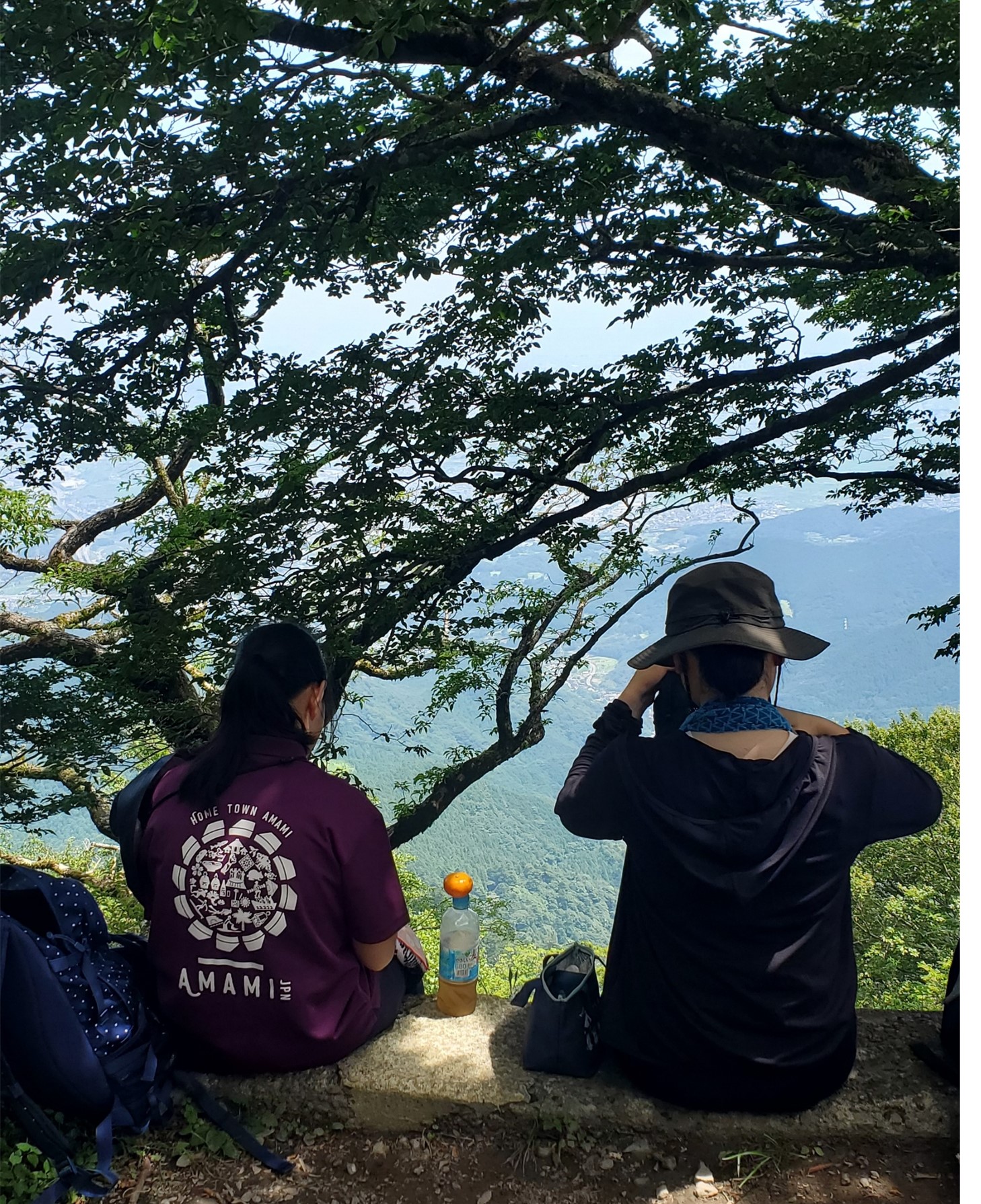 画像2
