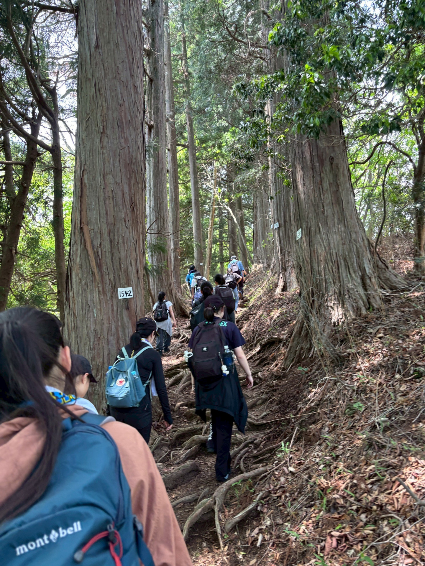登山中
