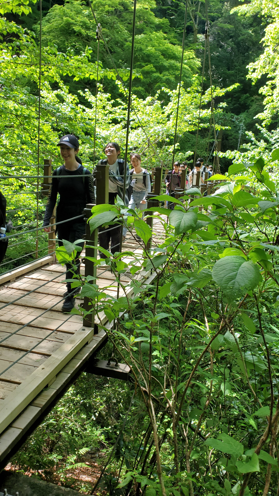 登山中1