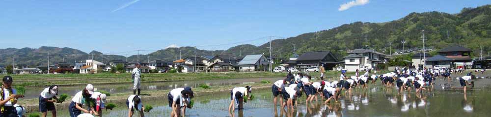 校外学習の写真