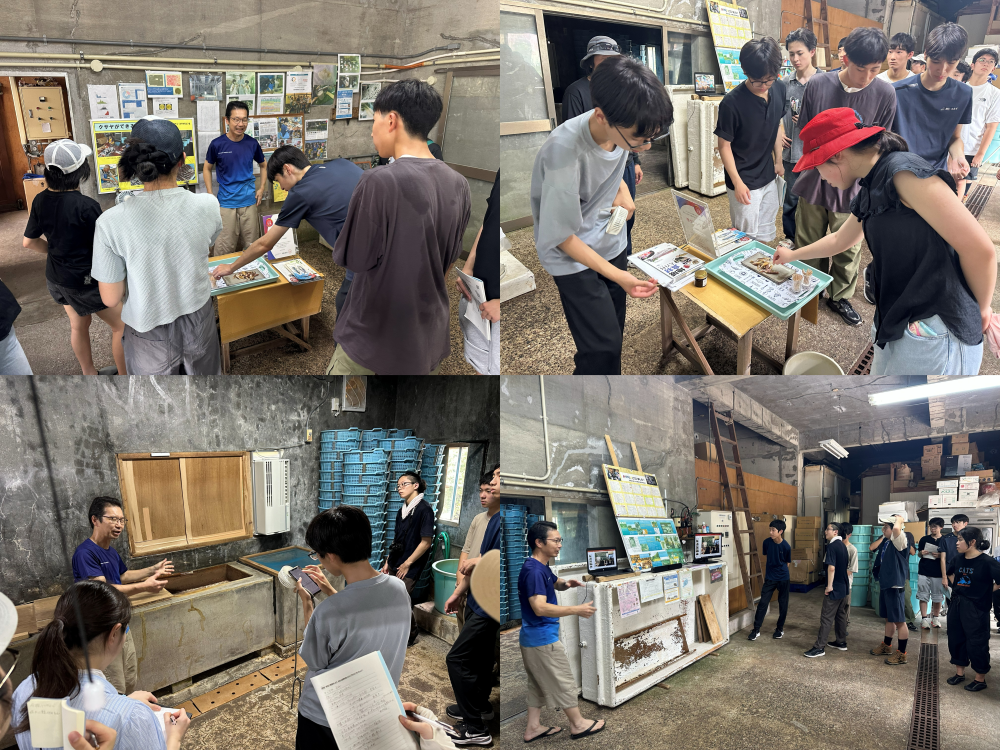 八丈島巡検2026⑤