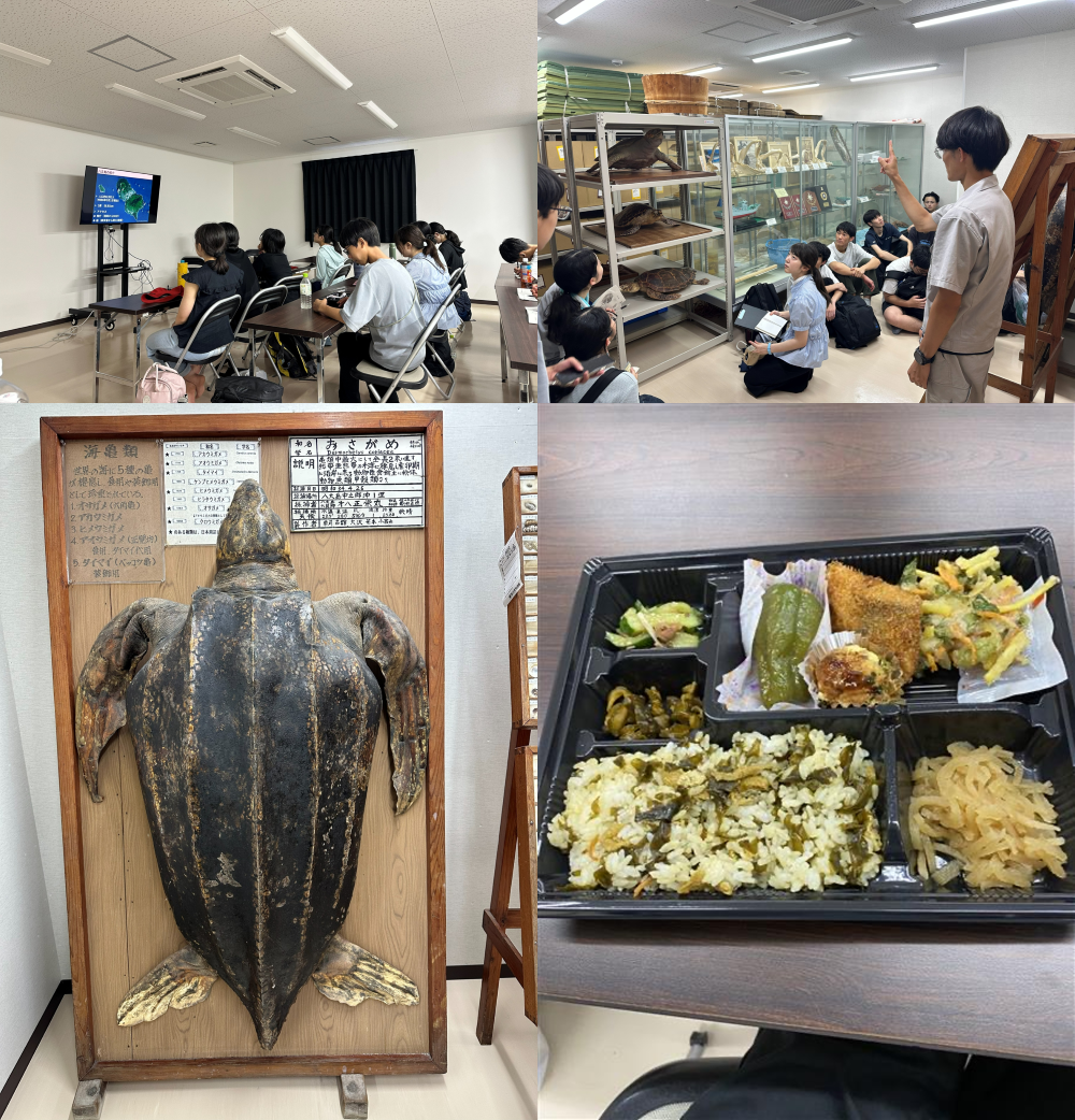 八丈島巡検2026⑥