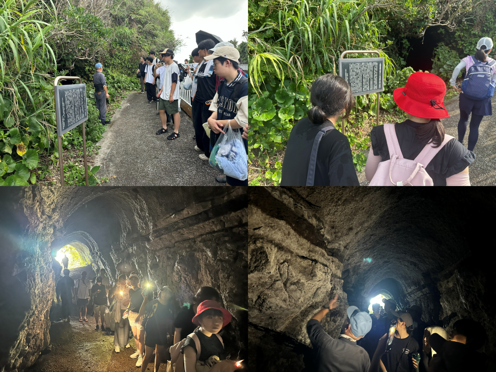 八丈島巡検2026⑧