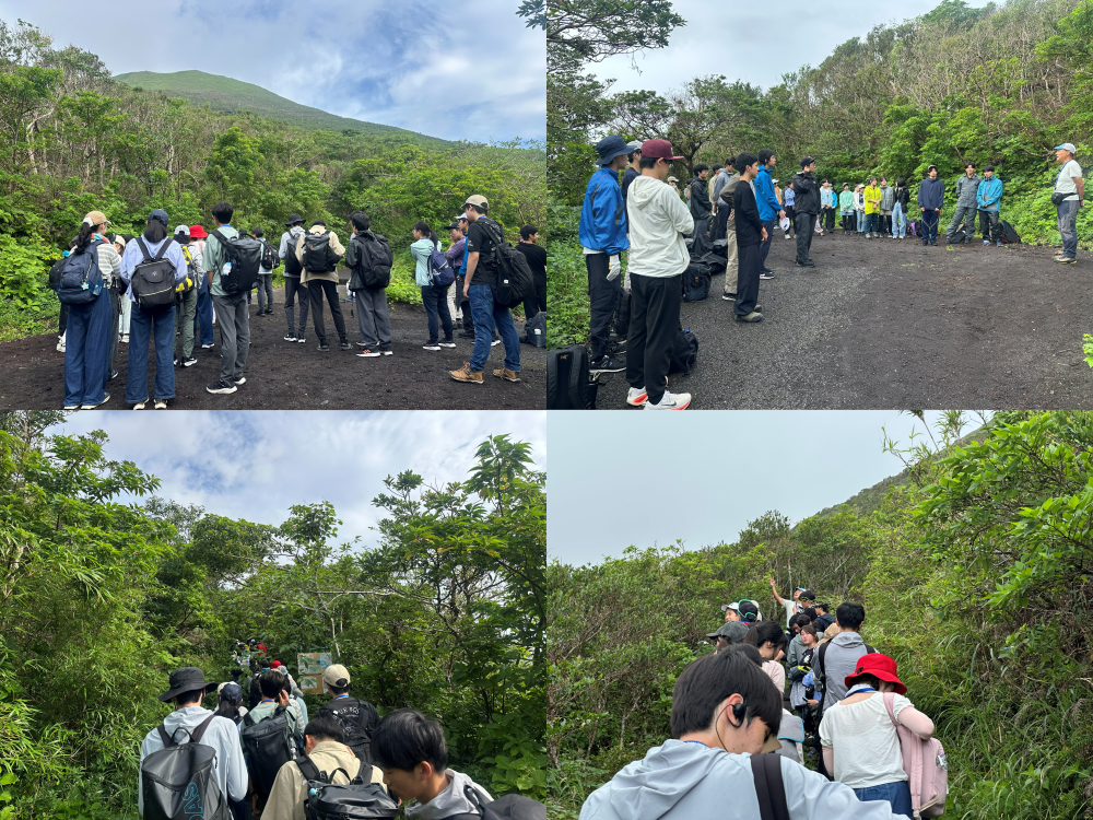 八丈島巡検2026⑪