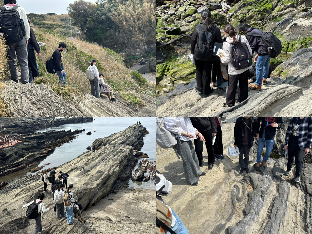 城ヶ島巡検2026③