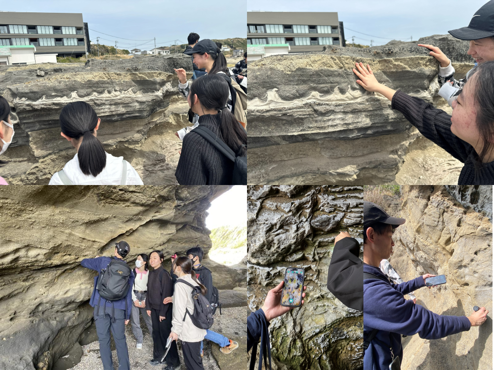 城ヶ島巡検2026④