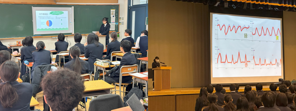 探究最終発表