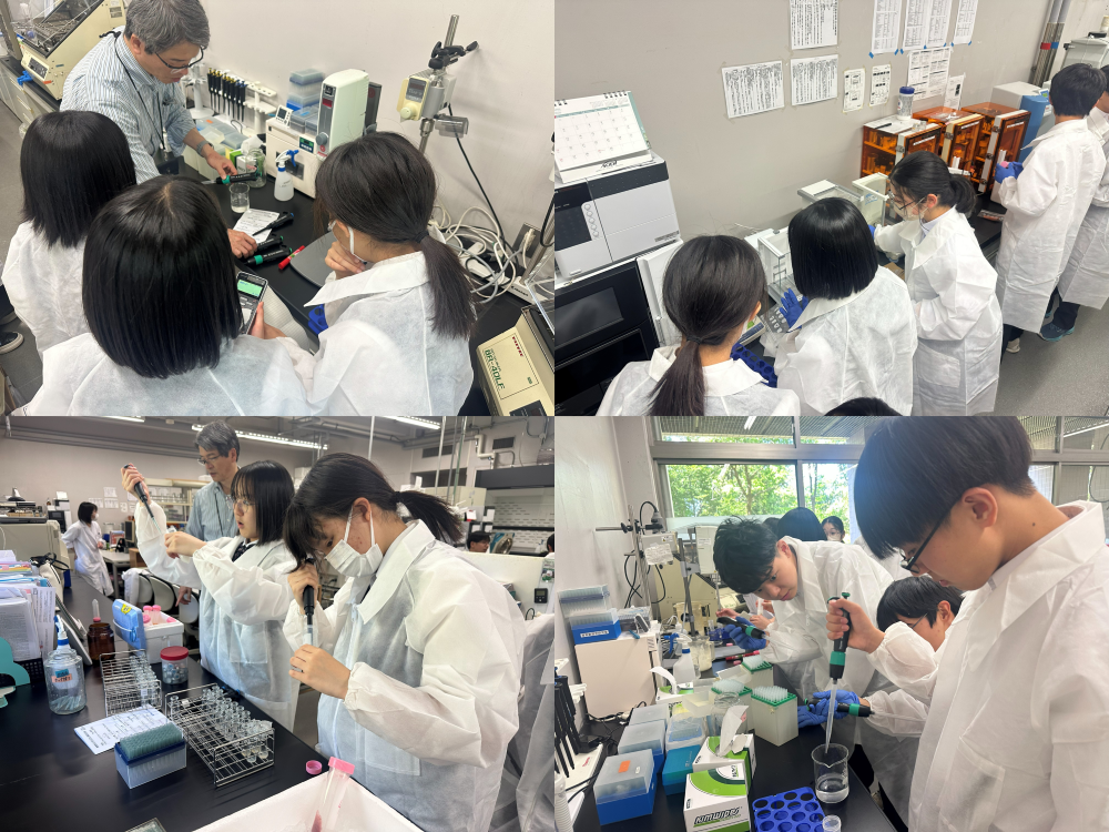 昭和薬科大学①