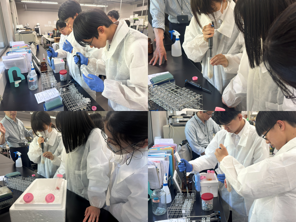 昭和薬科大学②