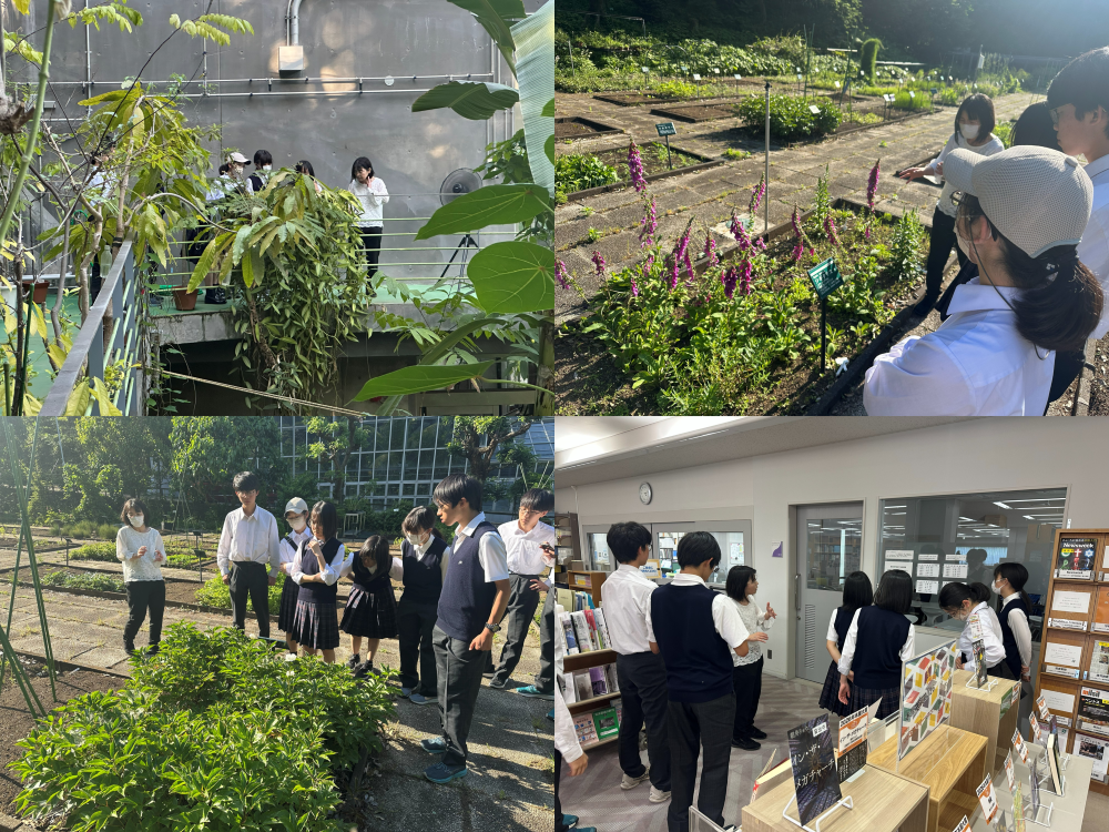 昭和薬科大学③