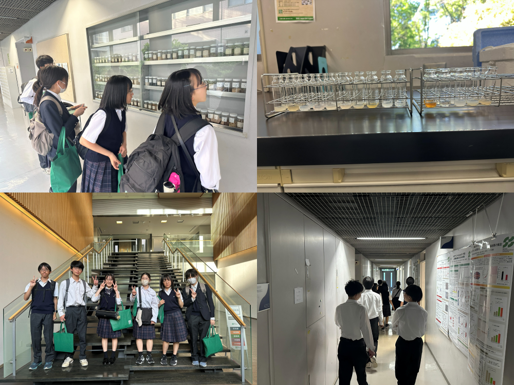 昭和薬科大学④