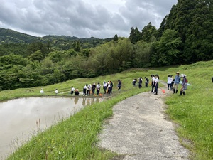 棚田