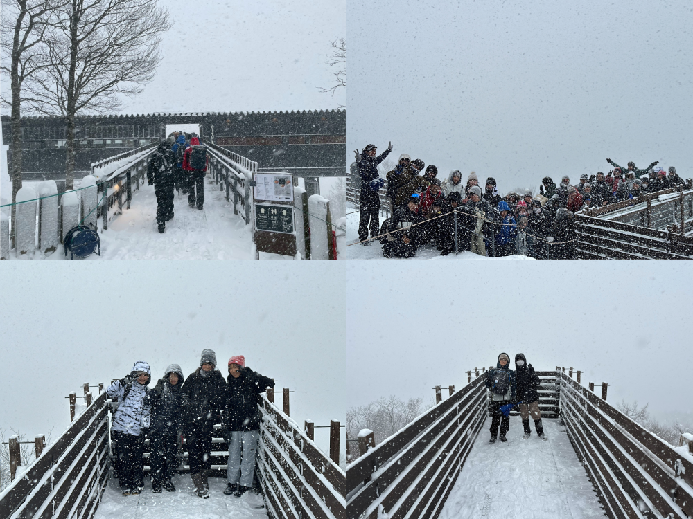 白馬巡検１５（マウンテンハーバー）