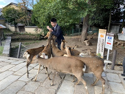 鹿2