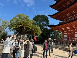 3-15