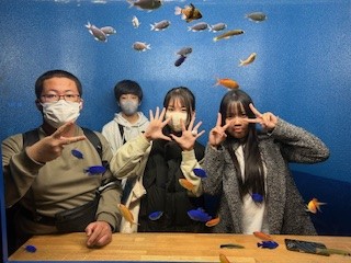 3-19