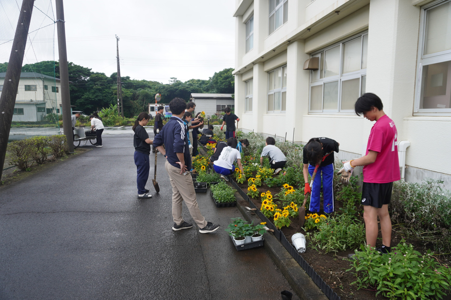 DSC08811.JPG