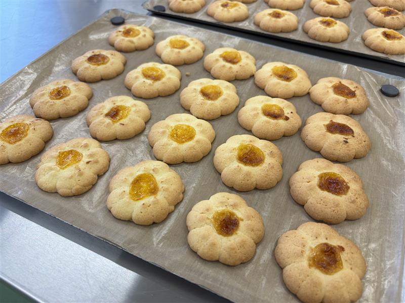 Image - 2026-01-27T151306.192